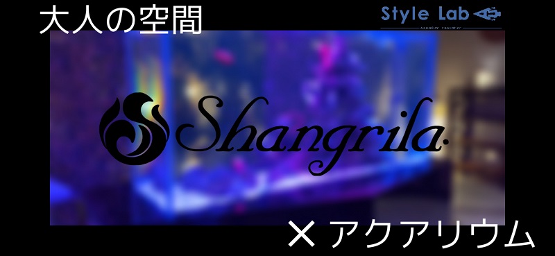 Shangrila